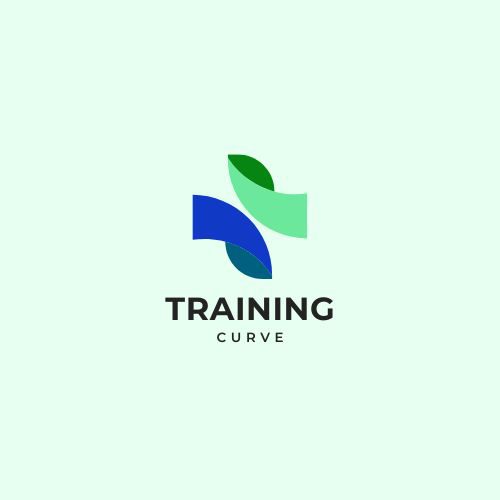 Training Curve