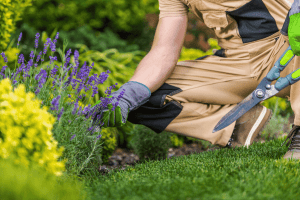 What Are the Main Types of Gardeners