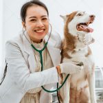 How to Become a Veterinary Nurse