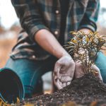 How to Become a Tree Surgeon