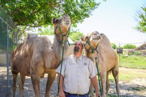 How to Become a Zookeeper