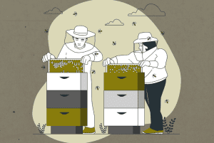 How to Become a Beekeeper