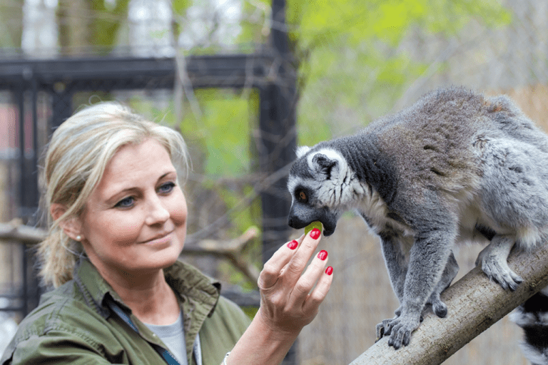 How to Become a Zookeeper f