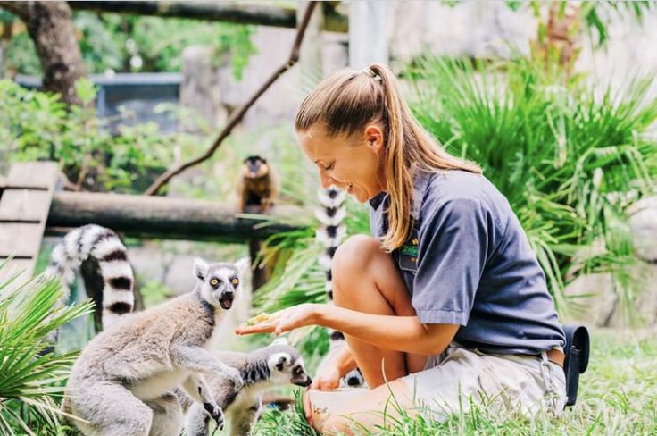 Zookeeper’s Qualifications.
