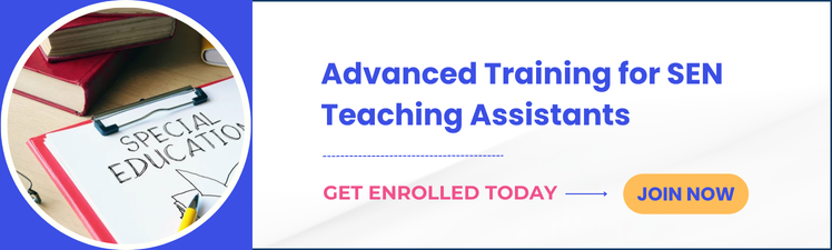 How to Become a SEN Teaching Assistant: Career Path, Qualifications, Jobs, and Starting With No Experience 8 image 6