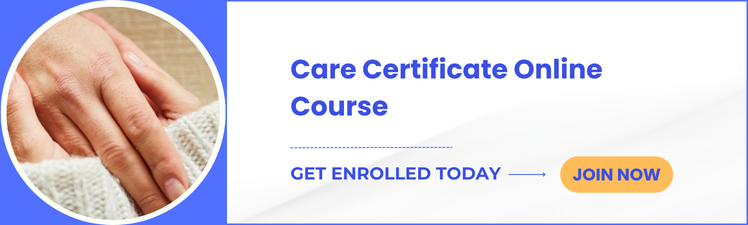 Care Certificate Answers: 15 Standards with Workbook 2 image