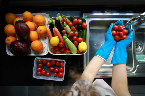 What Is HACCP? A Beginner's Guide to Food Safety Systems 3 image 23