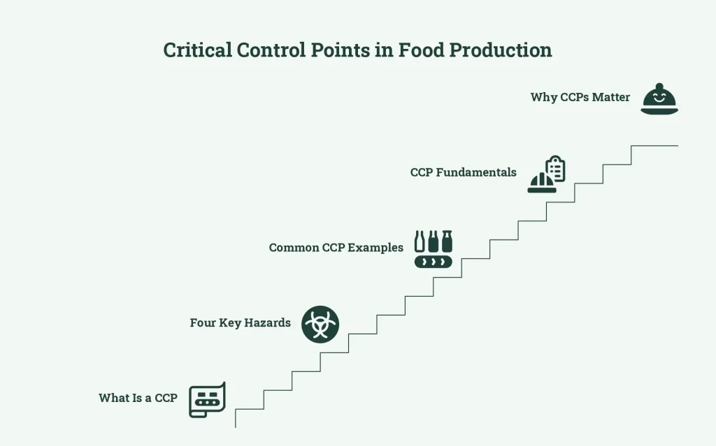 Critical Control Points in Food Production The Essentials edited