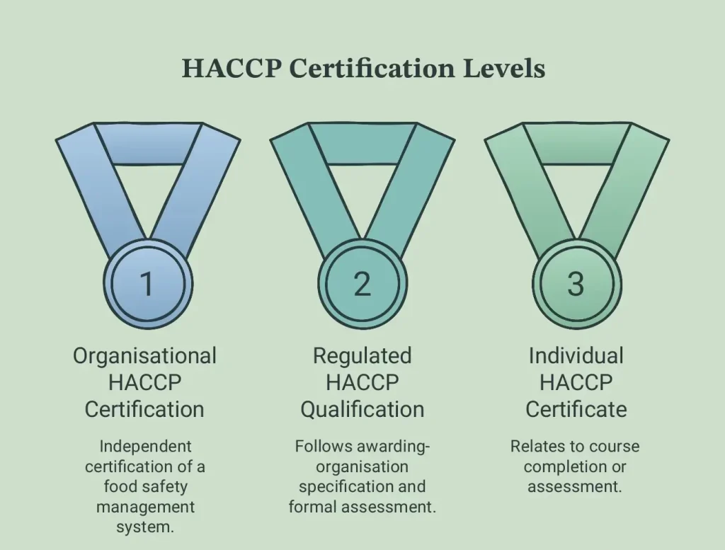 HACCP Certification in the UK: What It Is, Why You Need It 3 HACCP Certification edited