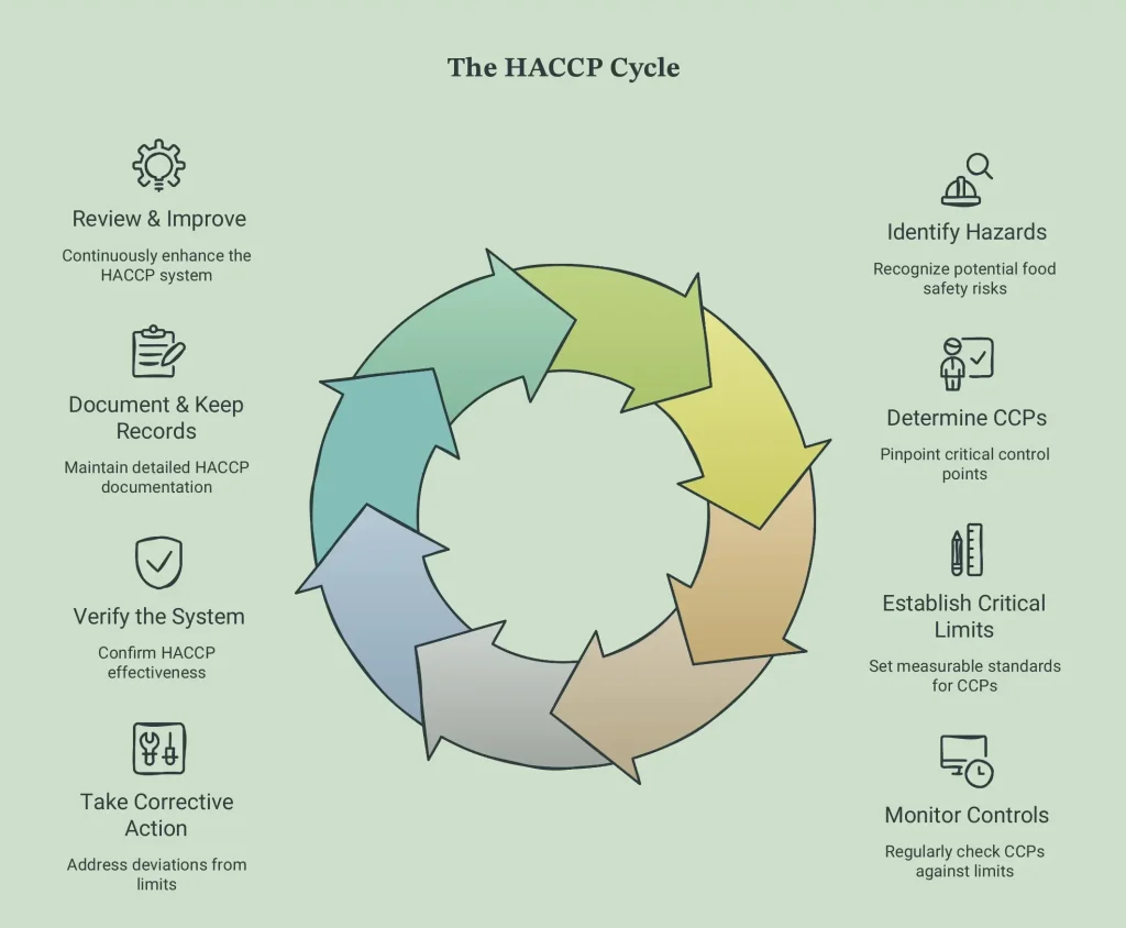 The 7 Principles of HACCP Explained with Examples 3 How the 7 Principles of HACCP Work Together edited